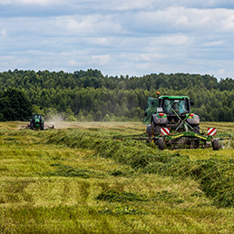 Spravljanje sijena